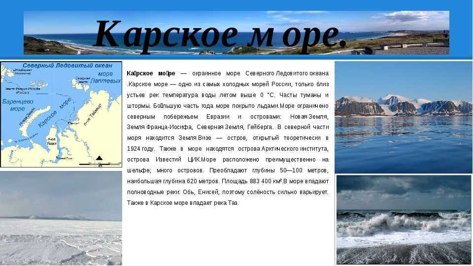 Рыбы черного моря. названия, описания и особенности рыб черного моря | животный мир