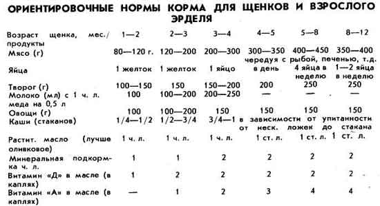 Чем кормить щенка в 1 месяц — советы и рекомендации