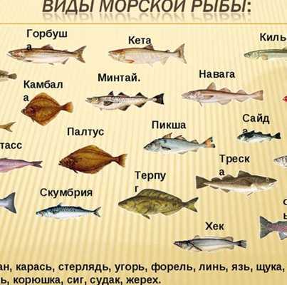 Какие рыбы обитают на черном море