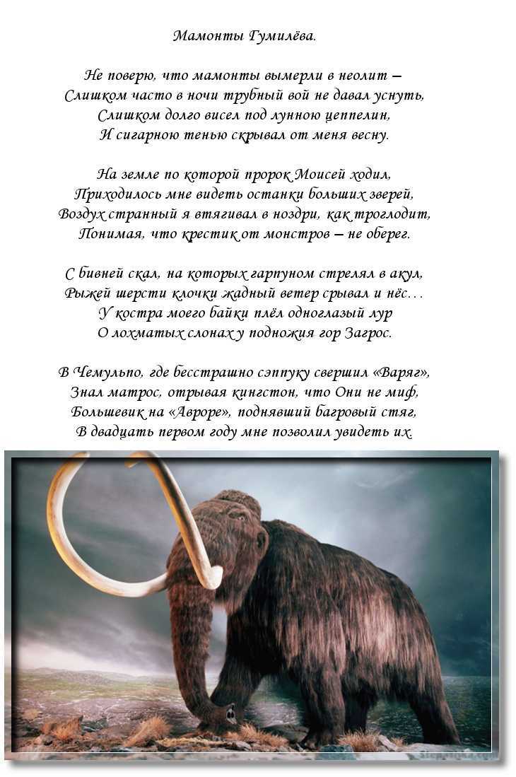 Были ли мамонты предками современных слонов? вовсе нет...