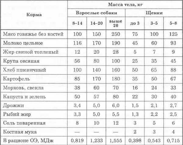 Как и чем кормить щенка бигля: меню по возрастам