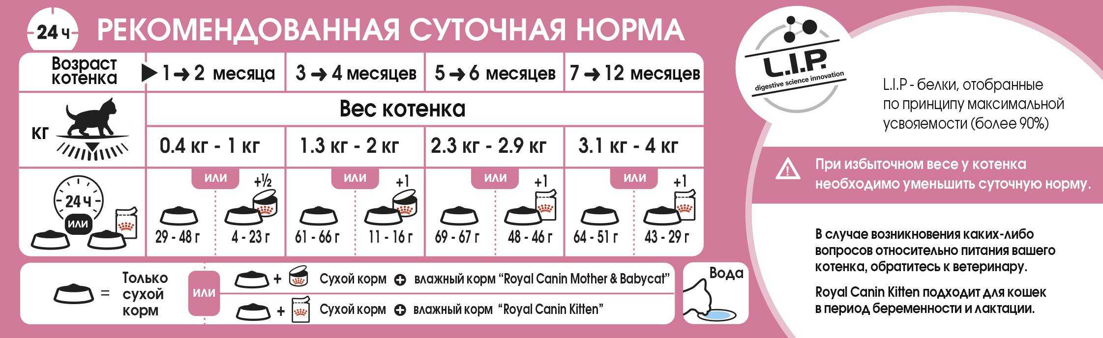 Правила прикорма котят, особенности рациона, оптимальный возраст | блог ветклиники "беланта"