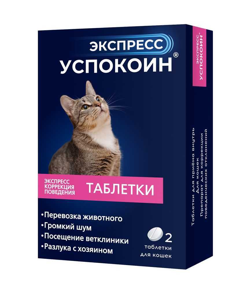 Снотворное для кошек. эффективное успокоительное для кошек :: syl.ru