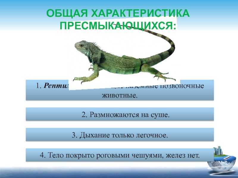 Биология
