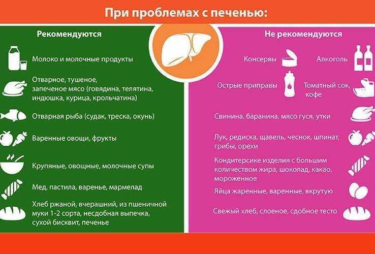 Можно ли кошке давать печень: о полезных и вредных свойствах продукта, как и сколько давать