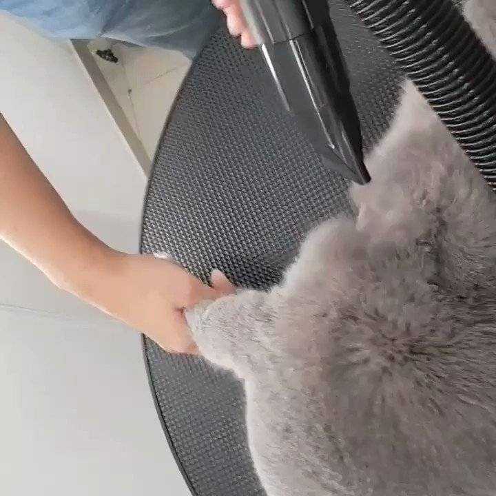 Кошка сильно линяет что делать