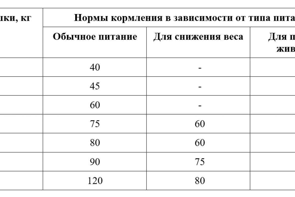 Сколько раз кормить котенка в 1, 2, 3, 4, 5 и 6 месяцев: норма кормления, описание правильного рациона питания