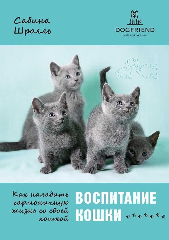 Как воспитывать кошку?
