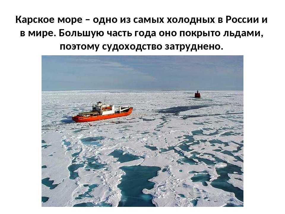 Рыбы сибири. рыба северных таежных рек (фото)