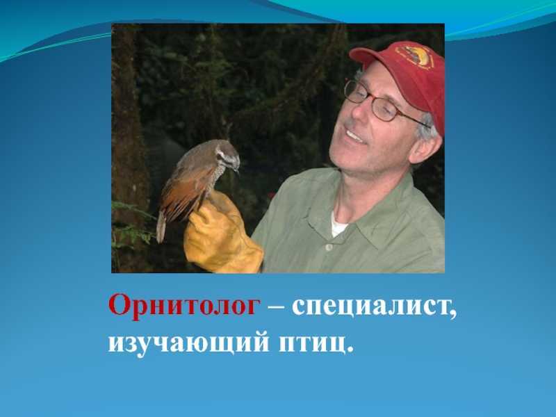 Что такое зоология и что она изучает? этапы и развитие зоологии