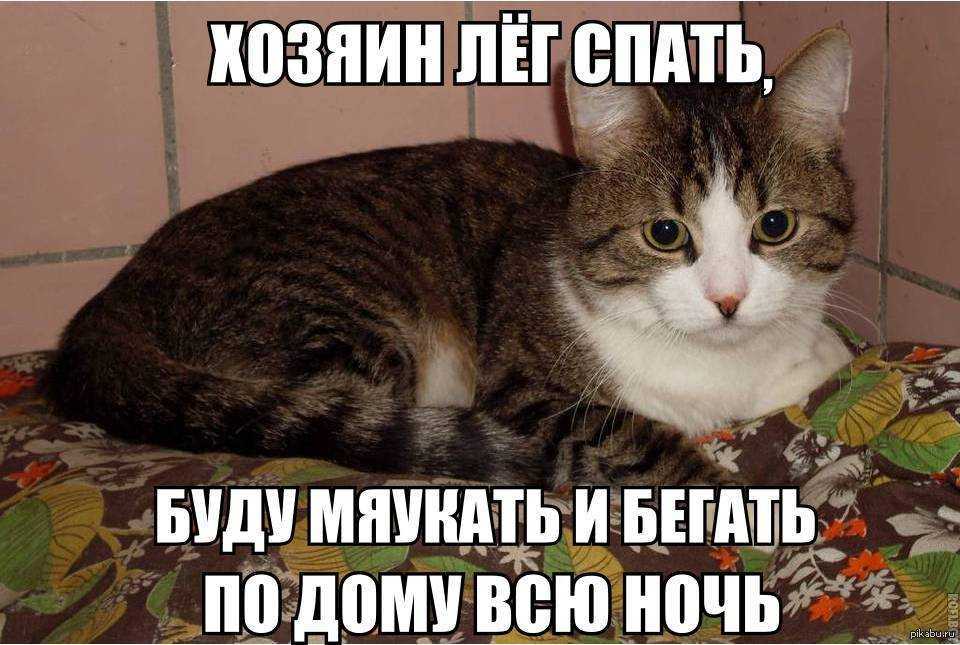 Синдром беспокойных ног