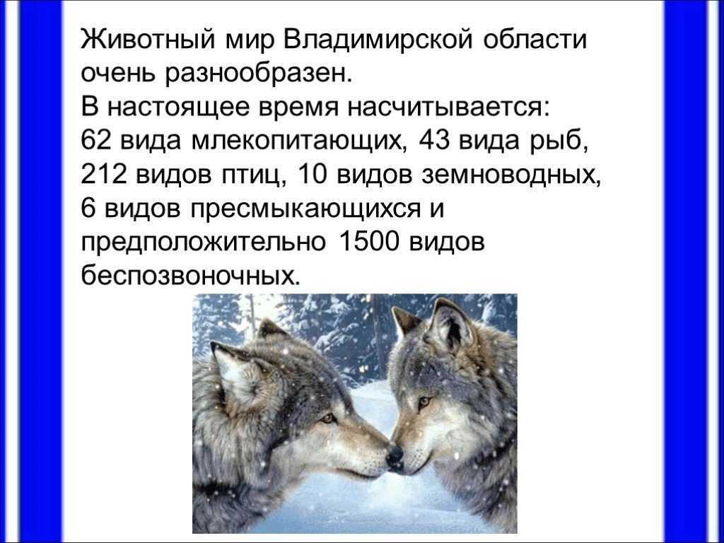 Заповедники владимирской области