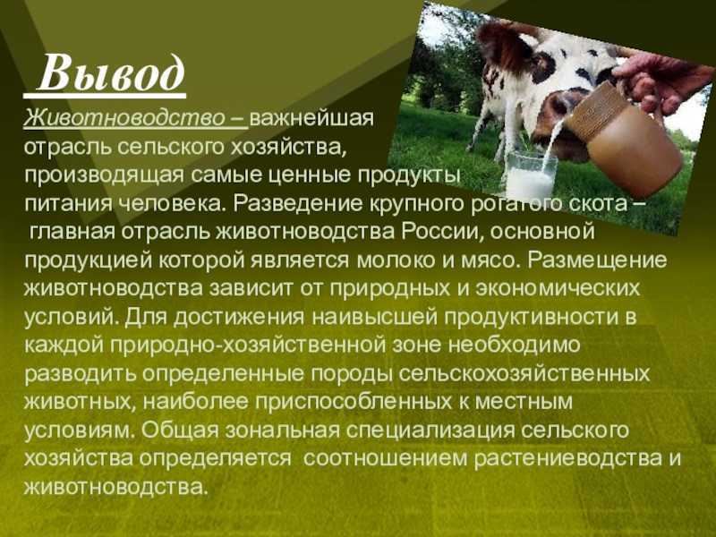 Развитие речи детей 4-7 лет