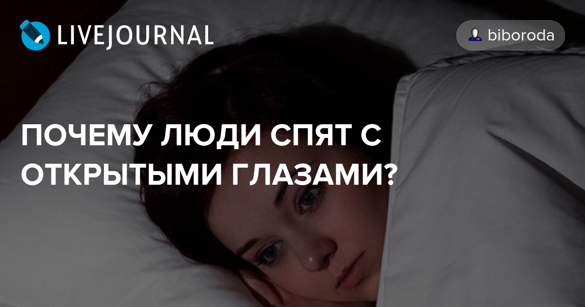 Почему кошки любят спать
почему кошки любят спать