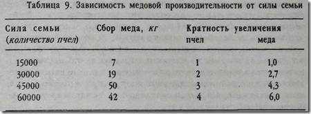 Сбор меда: правильная техника, время и методы