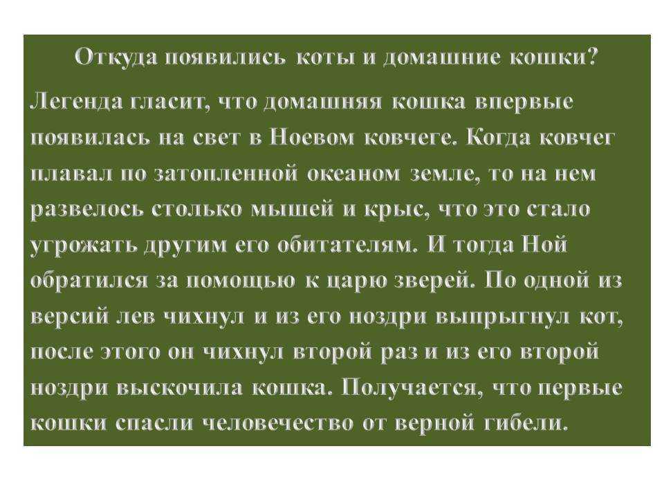 Происхождение кошек. история древних и современных кошек | блог о домашних животных