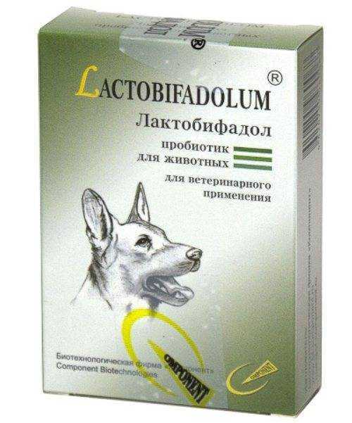 Информация про препарат для собак лактобифадол, которую нужно знать владельцам!