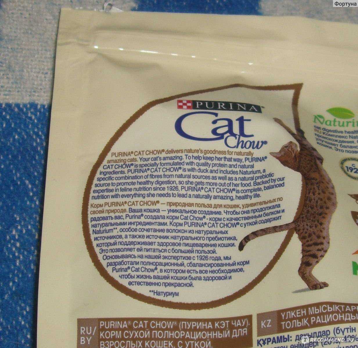 Чем кормить котенка от 3 до 6 месяцев