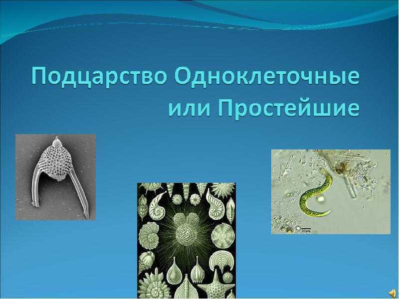 Биология