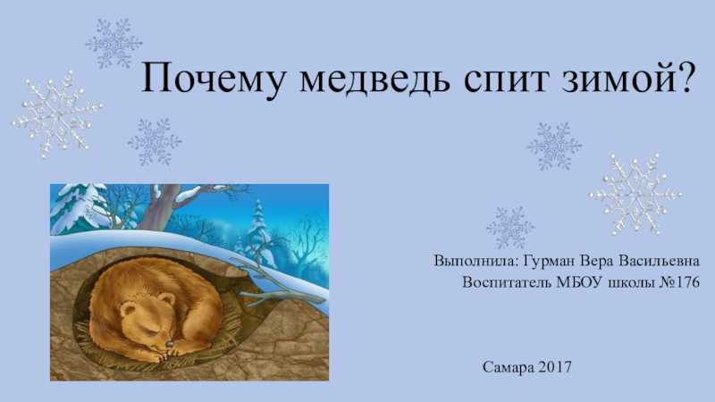 Зимняя спячка медведя, или почему медведь сосет лапу?