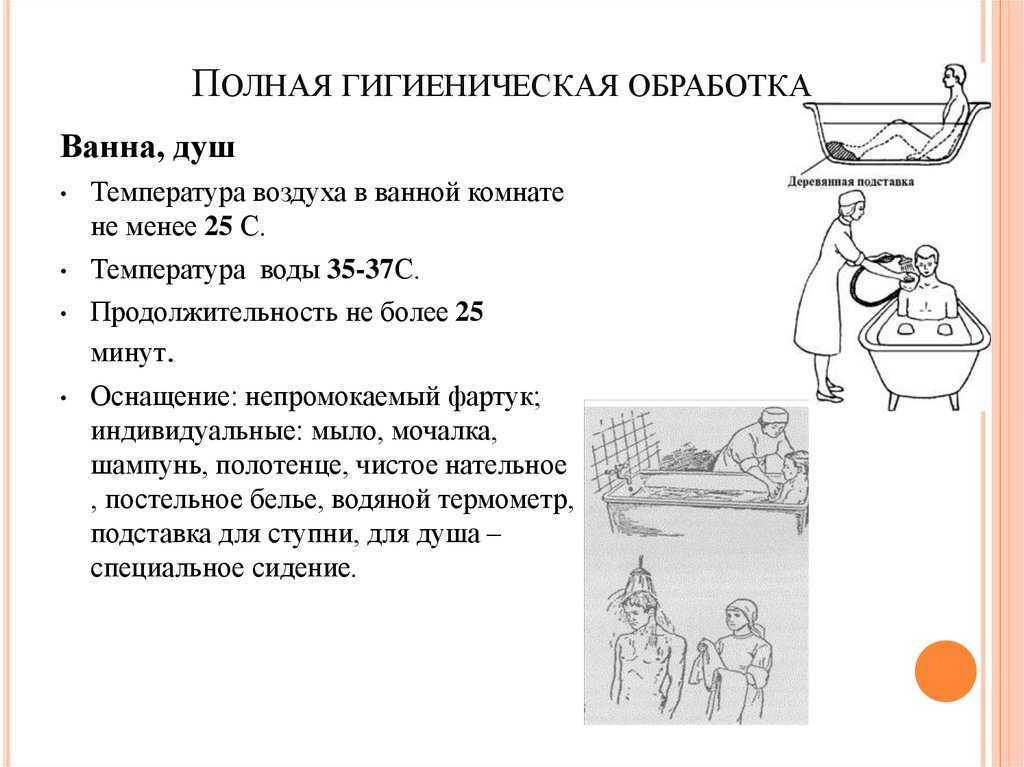 Можно ли купать кошек