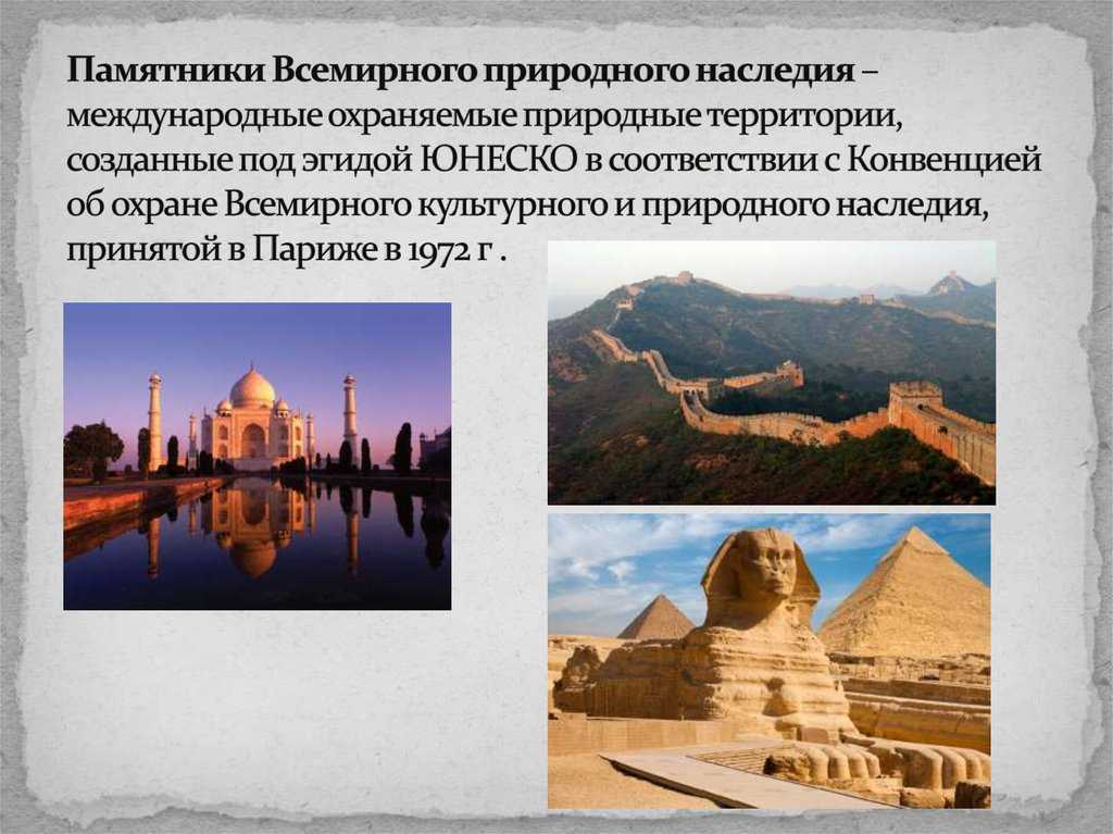 История пчеловодства: от древности к современности