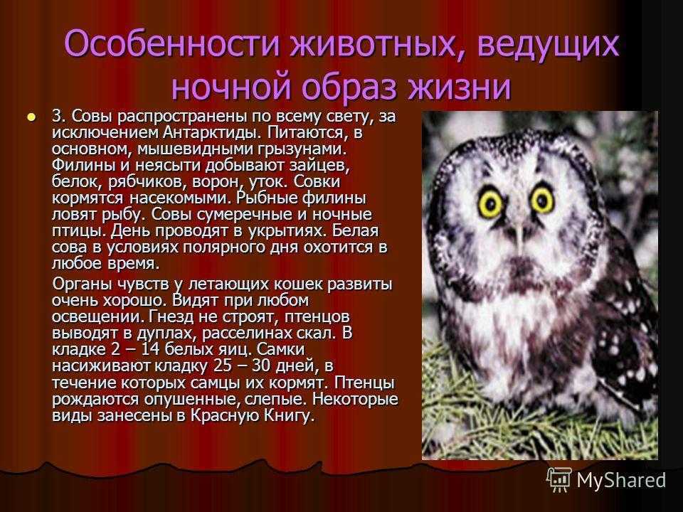 Жуйков евгений 	 |
	бесценный дар – зрение | журнал «здоровье детей» № 7/2005