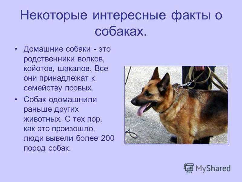 Самые необычные профессии - 101 работа (примеры), фото | equity
