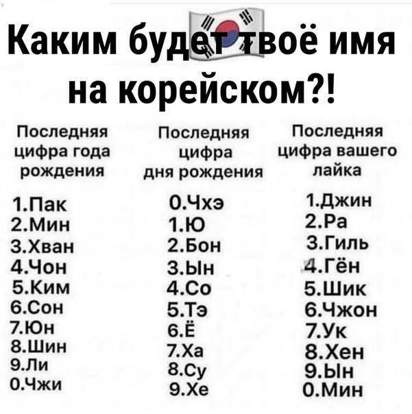 Самые популярные клички для сиба-ину: какое имя придумать для мальчика и девочки + как не стоит называть собаку