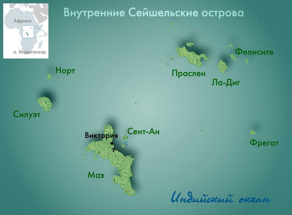Фрегат – фото и описание птицы, видео, интересные факты