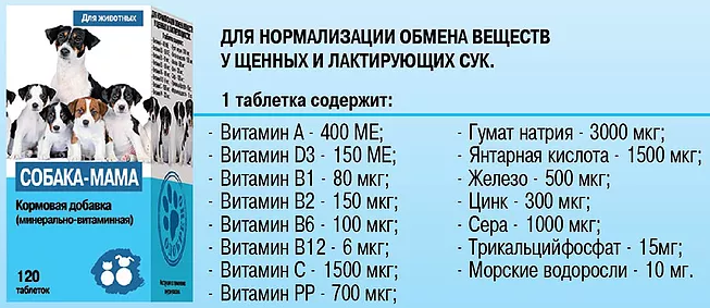 Как выбрать корм для собаки мелкой породы