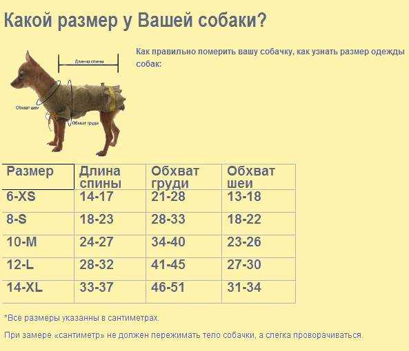 Сколько живут собаки