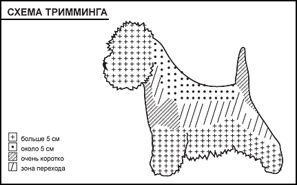 Нож для тримминга собак: металлический и каменный