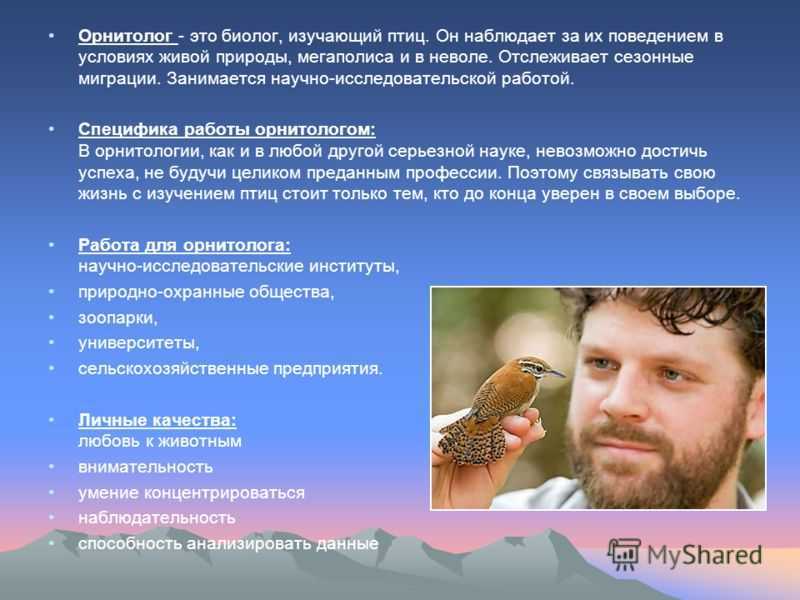 Класс птицы общая характеристика, сколько видов птиц на земле, основной признак птиц, классификация, размножение, строение, мозг, части тела птиц, отряды, какая наука изучает птиц | tvercult.ru