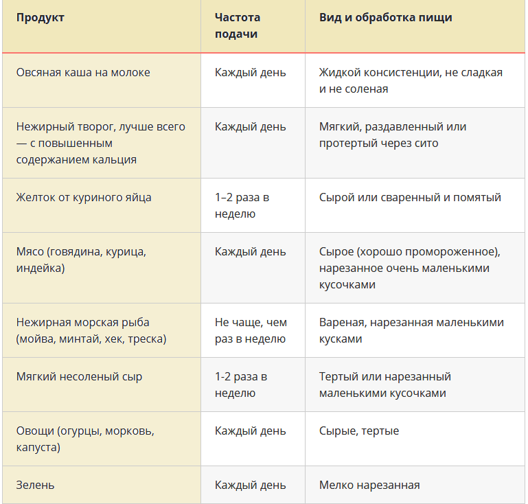 Почему кошкам нельзя молоко