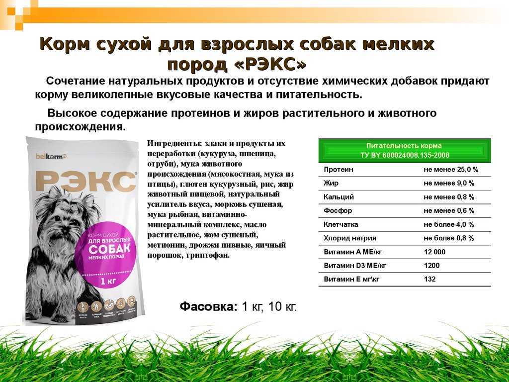 Основные сведения о влажных кормах для собак: обзор производителей, разновидности