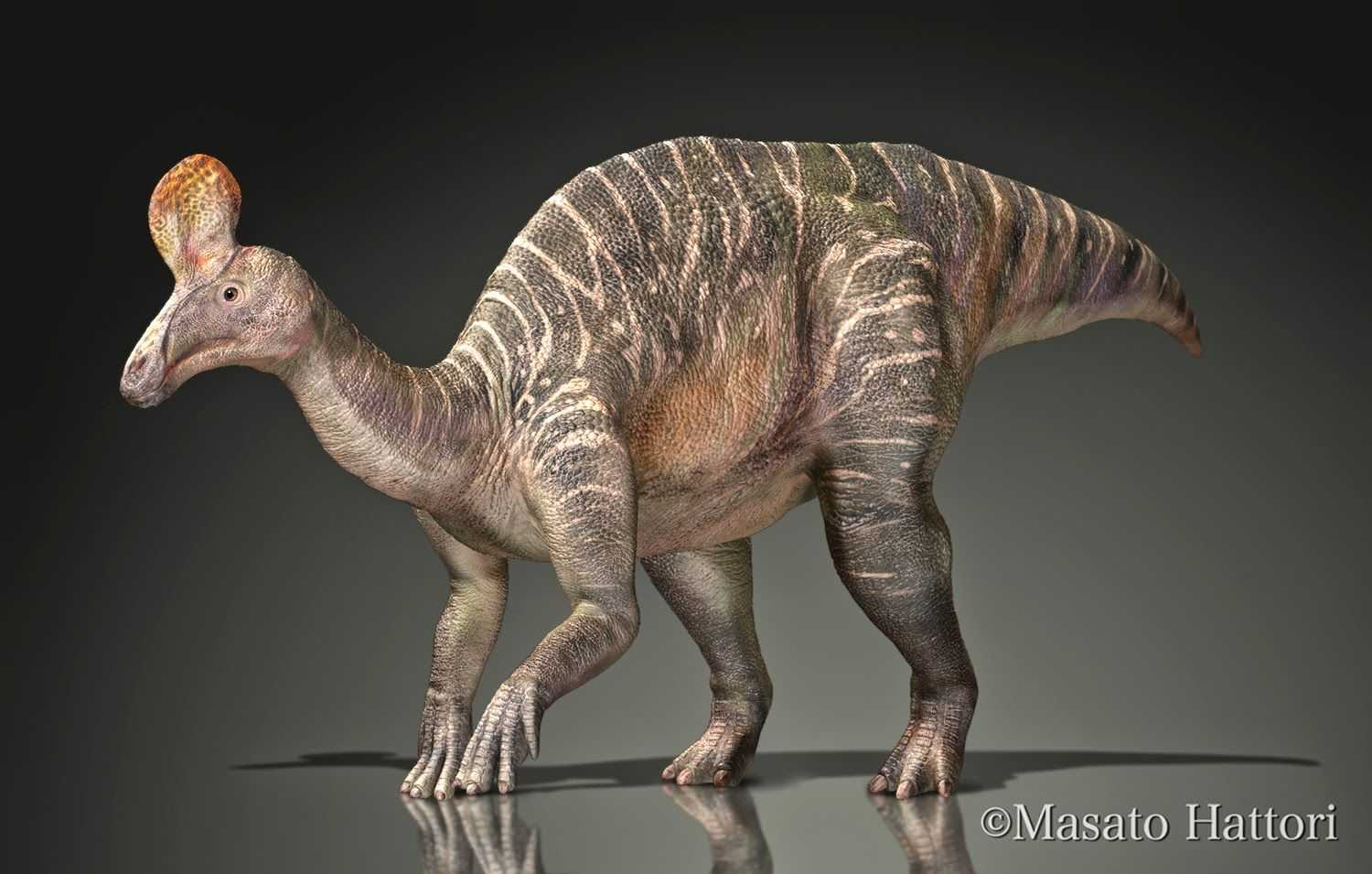 Могли ли динозавры дожить до наших дней?