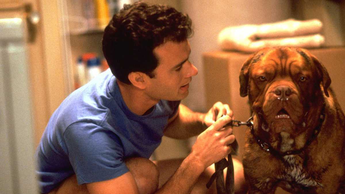 12 фильмов про собак, после которых захочется завести себе друга