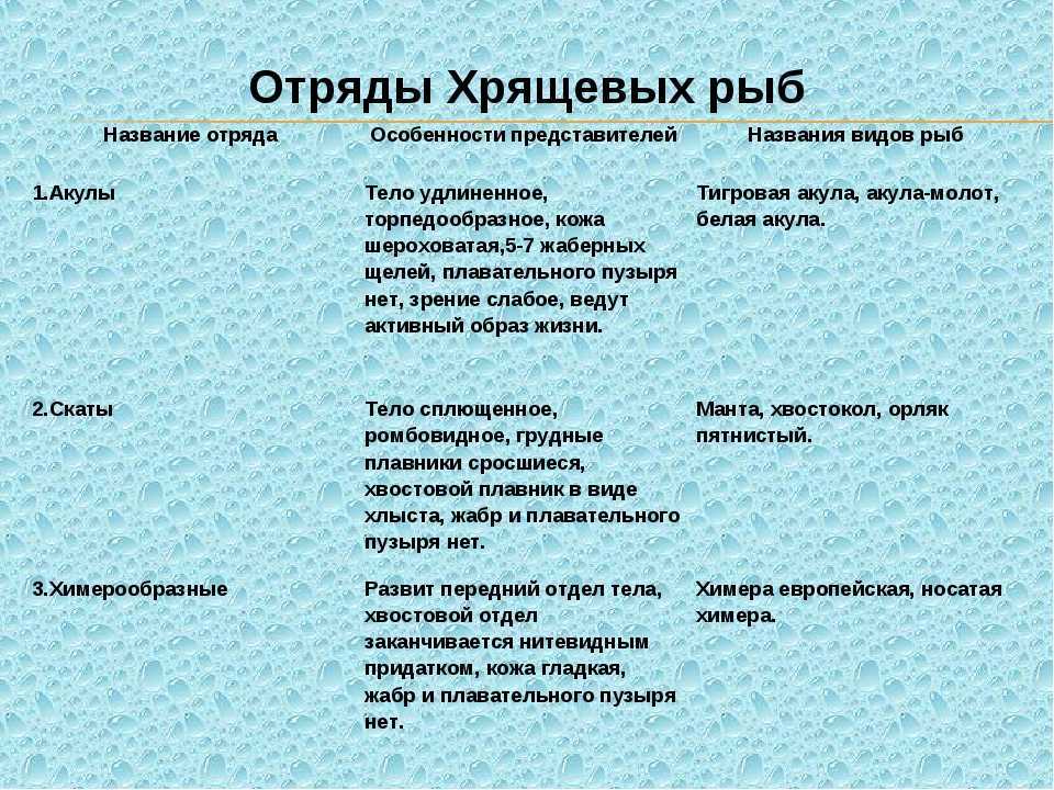 Класс хрящевые рыбы. конспект по биологии - учительpro