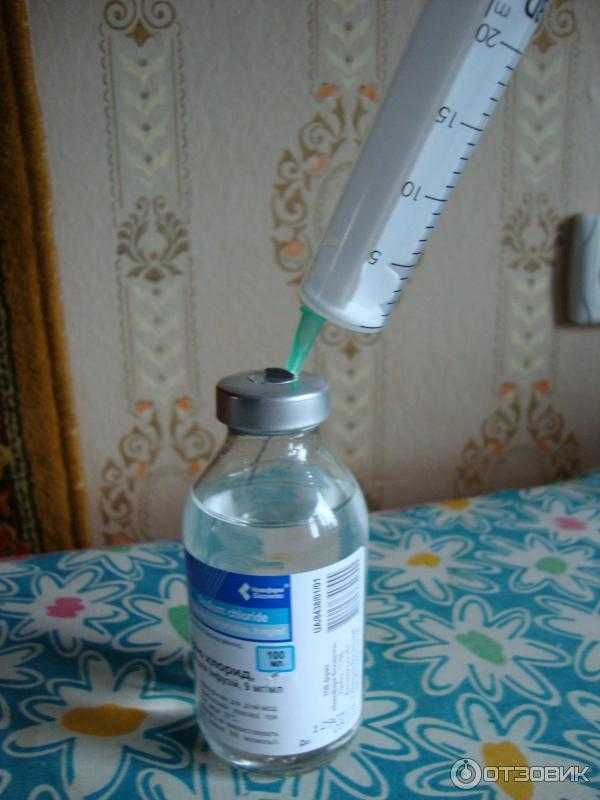 Насморк у собаки
