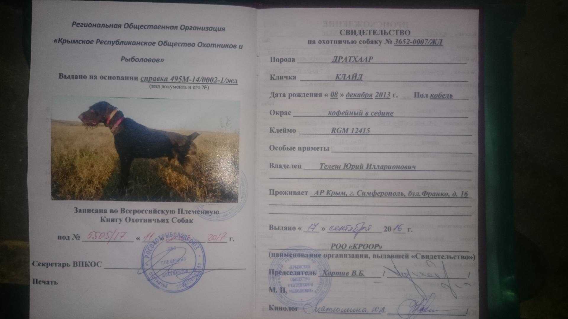 Клички для охотничьих собак