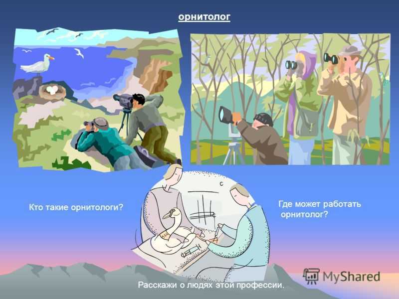 Кто такой орнитолог, что это за профессия? чем занимаются орнитологи, что изучают?