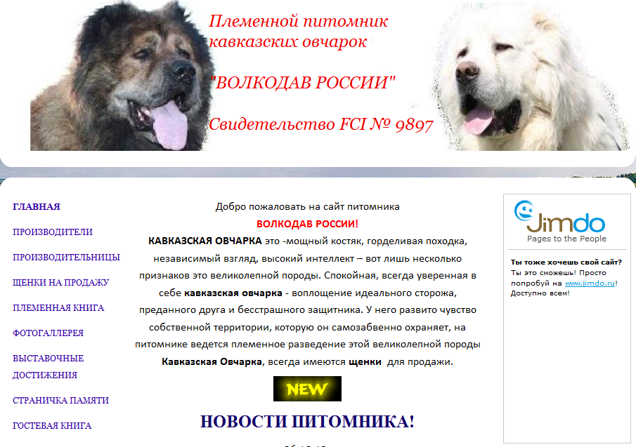 Статья рассматривает стандарт породы кавказская овчарка, вес по месяцам и сколько лет живут эти собаки Статья содержит фото и видео