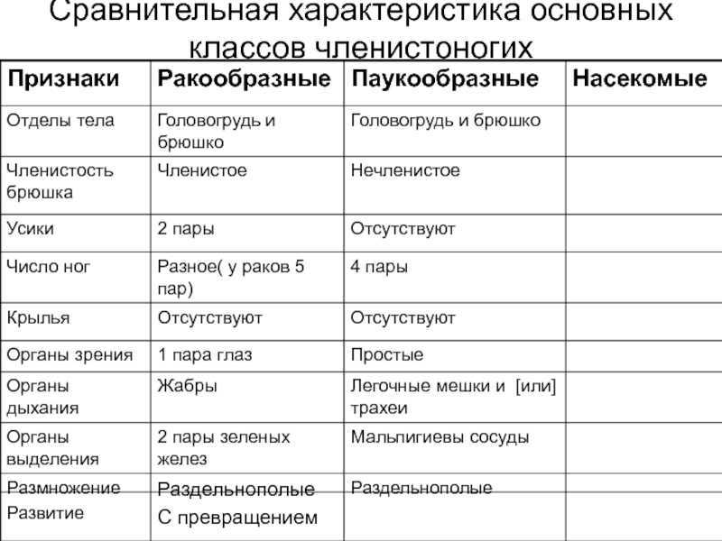 Различия и сходства животного и человека: сравнение строения и поведения :: syl.ru