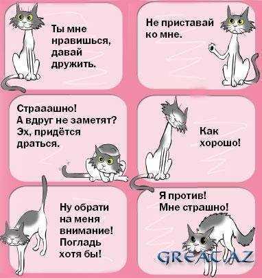 Выделения из уха – норма или тревожный симптом?