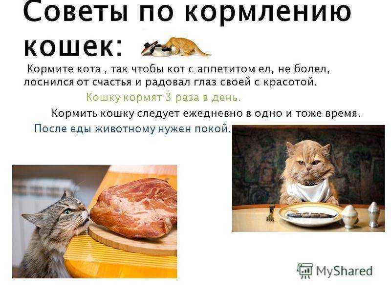 Средства для лечения грибка ногтей — самые эффективные лекарства