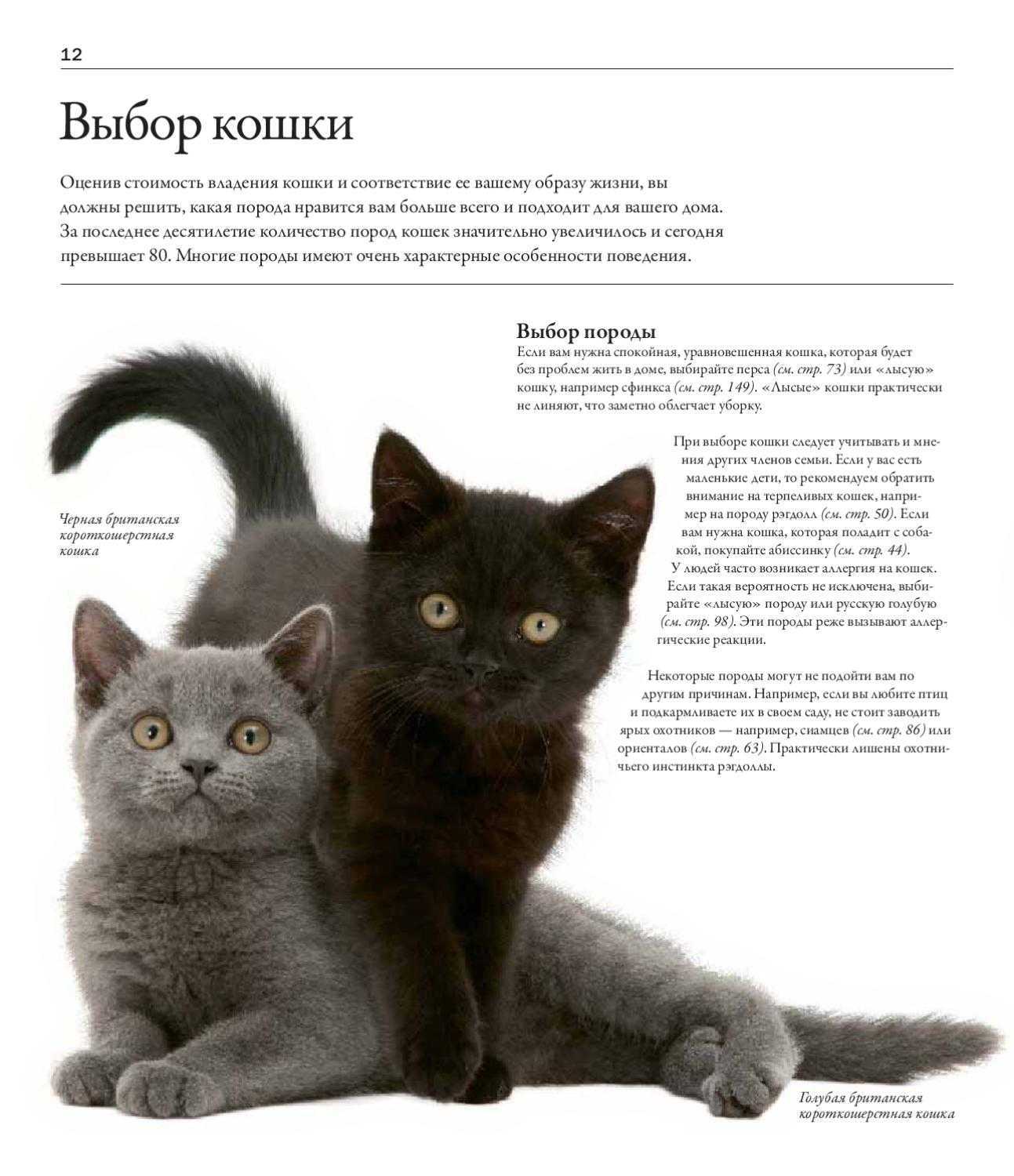 Породы кошек с фотографиями и названиями
породы кошек с фотографиями и названиями