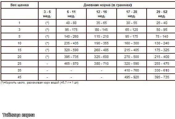 Чем кормить французского бульдога
чем кормить французского бульдога