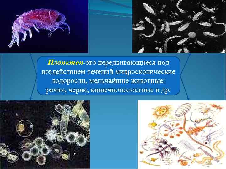 Почему небо голубое, а море синее?