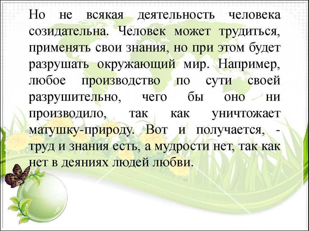 Самые красивые бабочки в мире